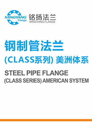 鋼制管法蘭（CLASS系列）美洲體系